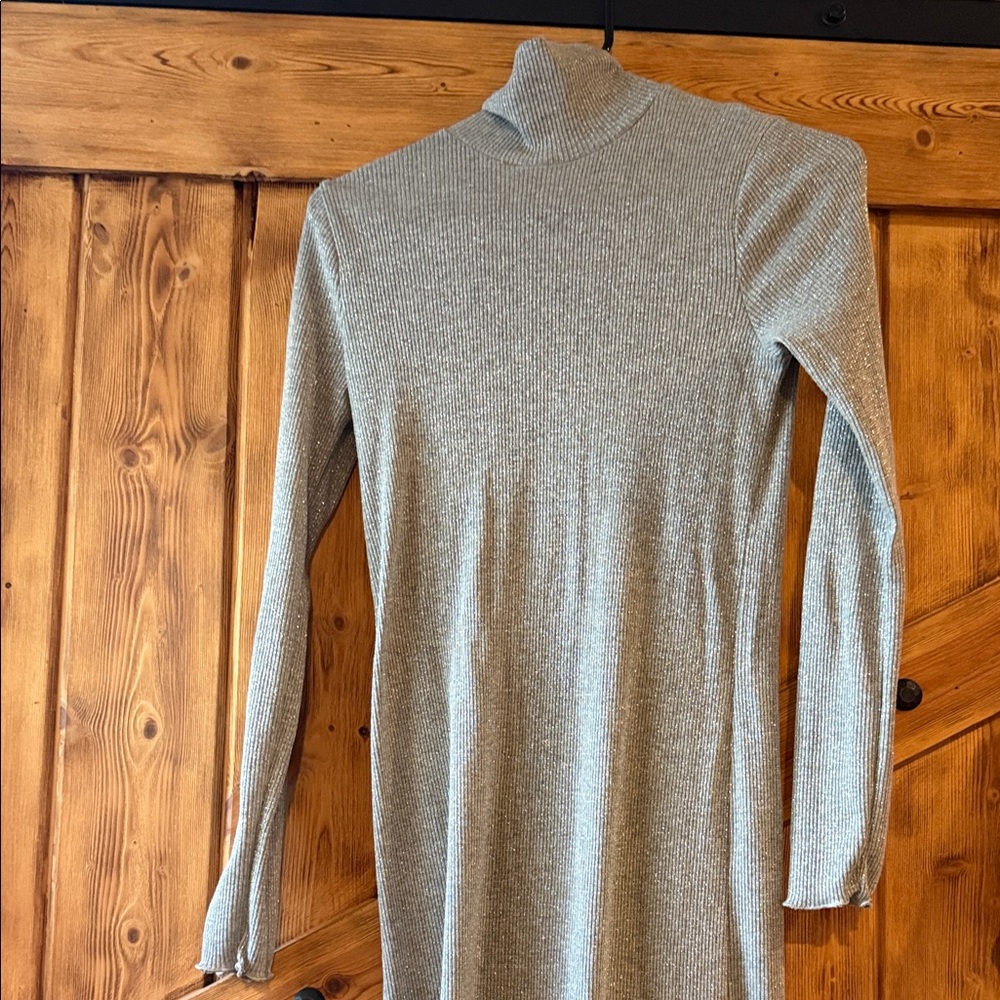 Zara Long Sleeve Silver Dress